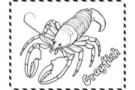 Crayfish-Coloring-Pages